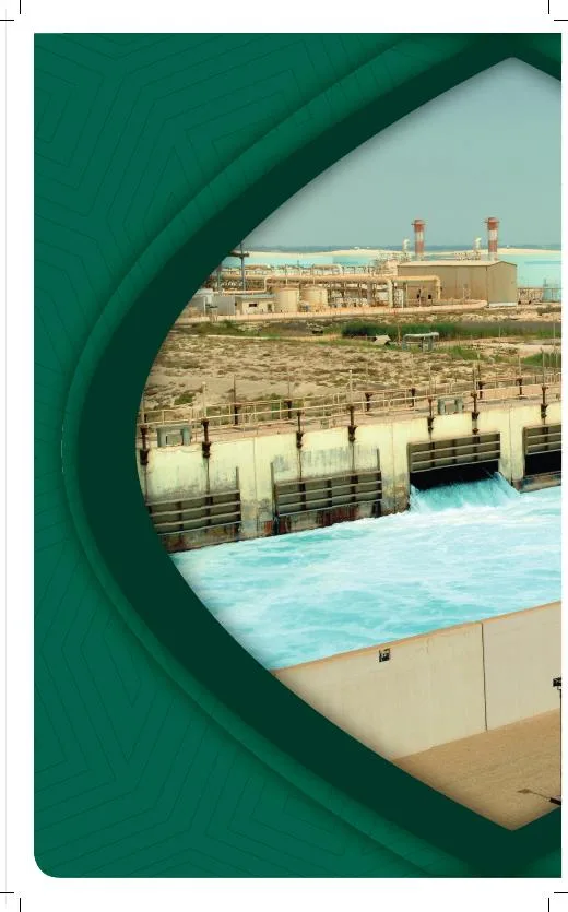 FindMe in Saudi 2011 — Industry