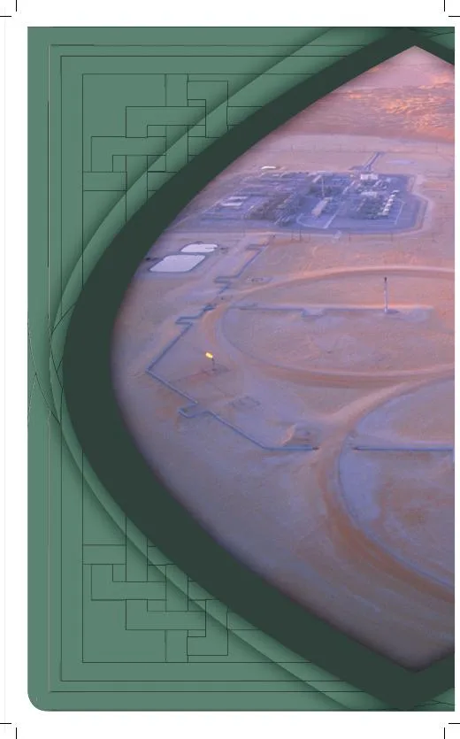 FindMe in Saudi 2011 — Mineral