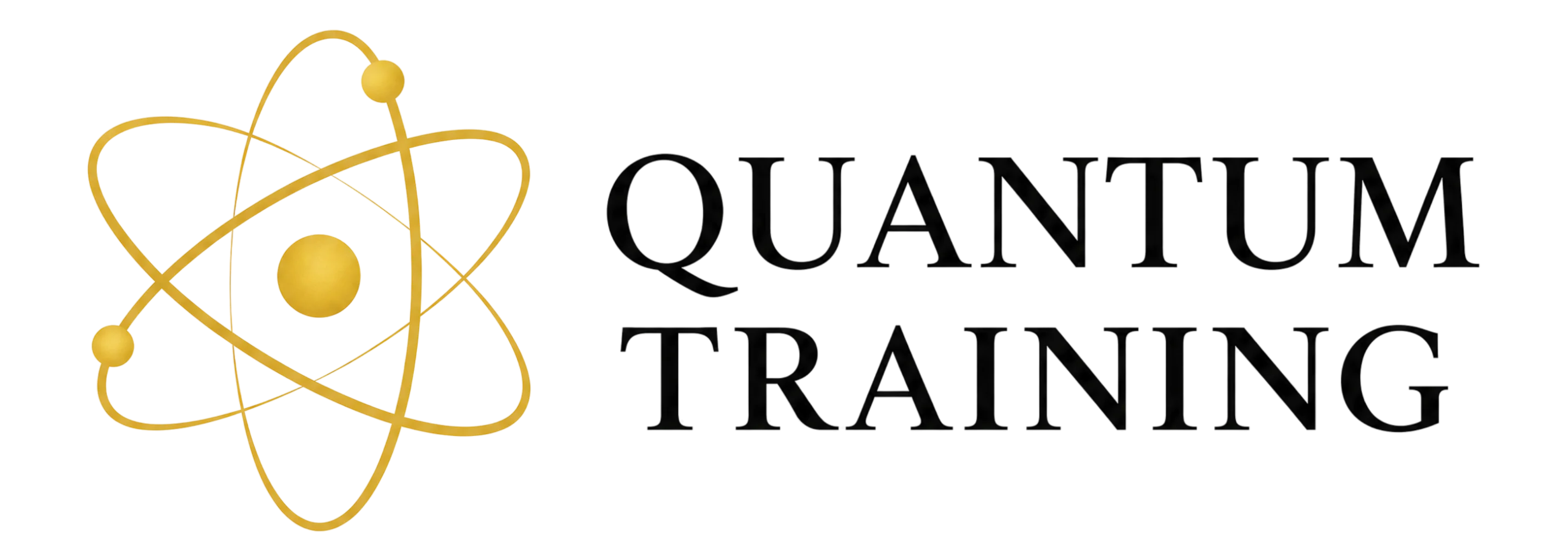 Quantum Training