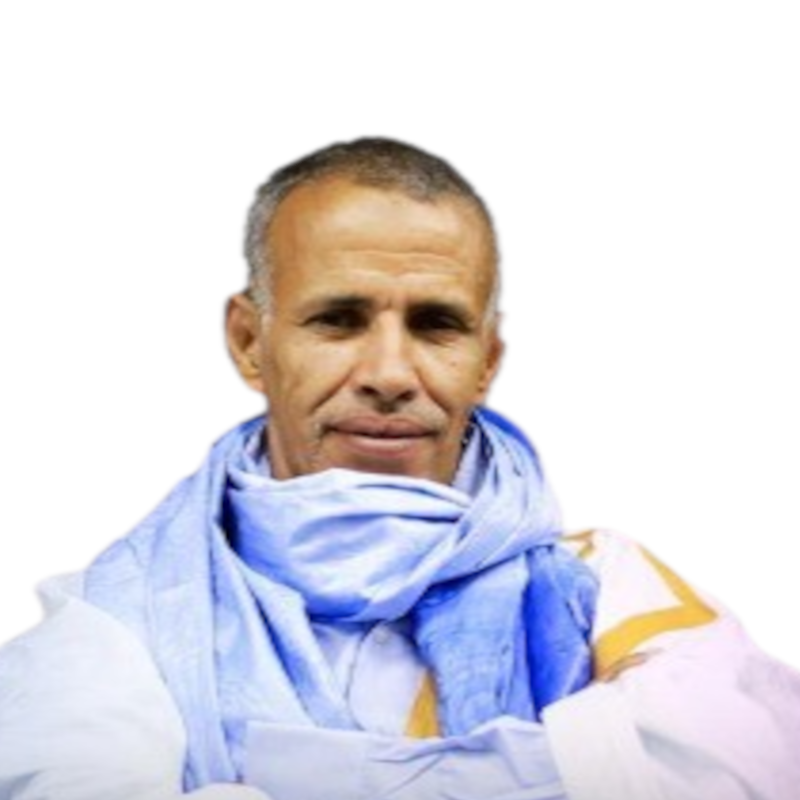 Mohamed Vall Seyidi