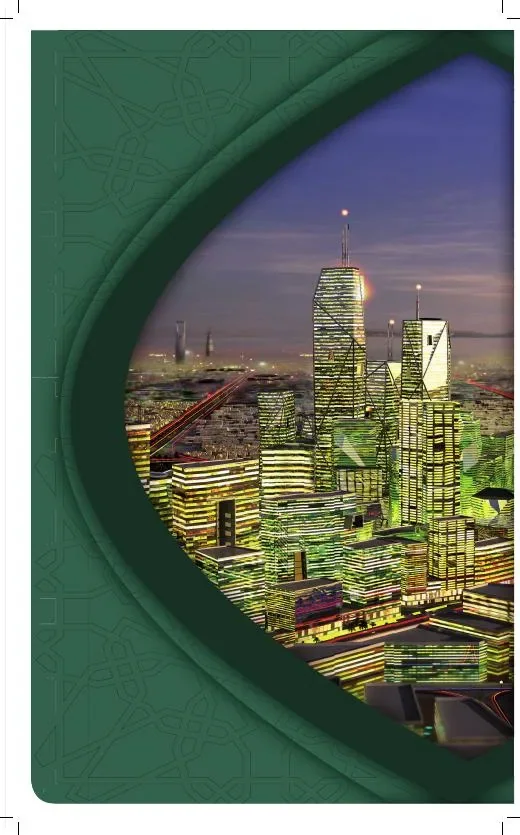 FindMe in Saudi 2011 — Finance