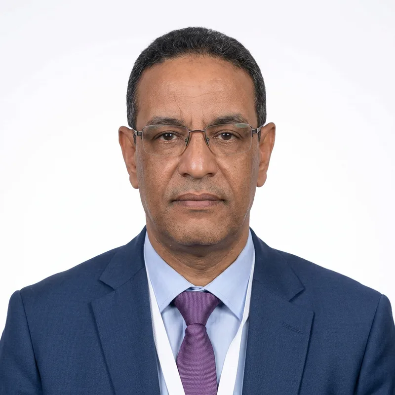 Mohamed Lemine Mohamed Bowba