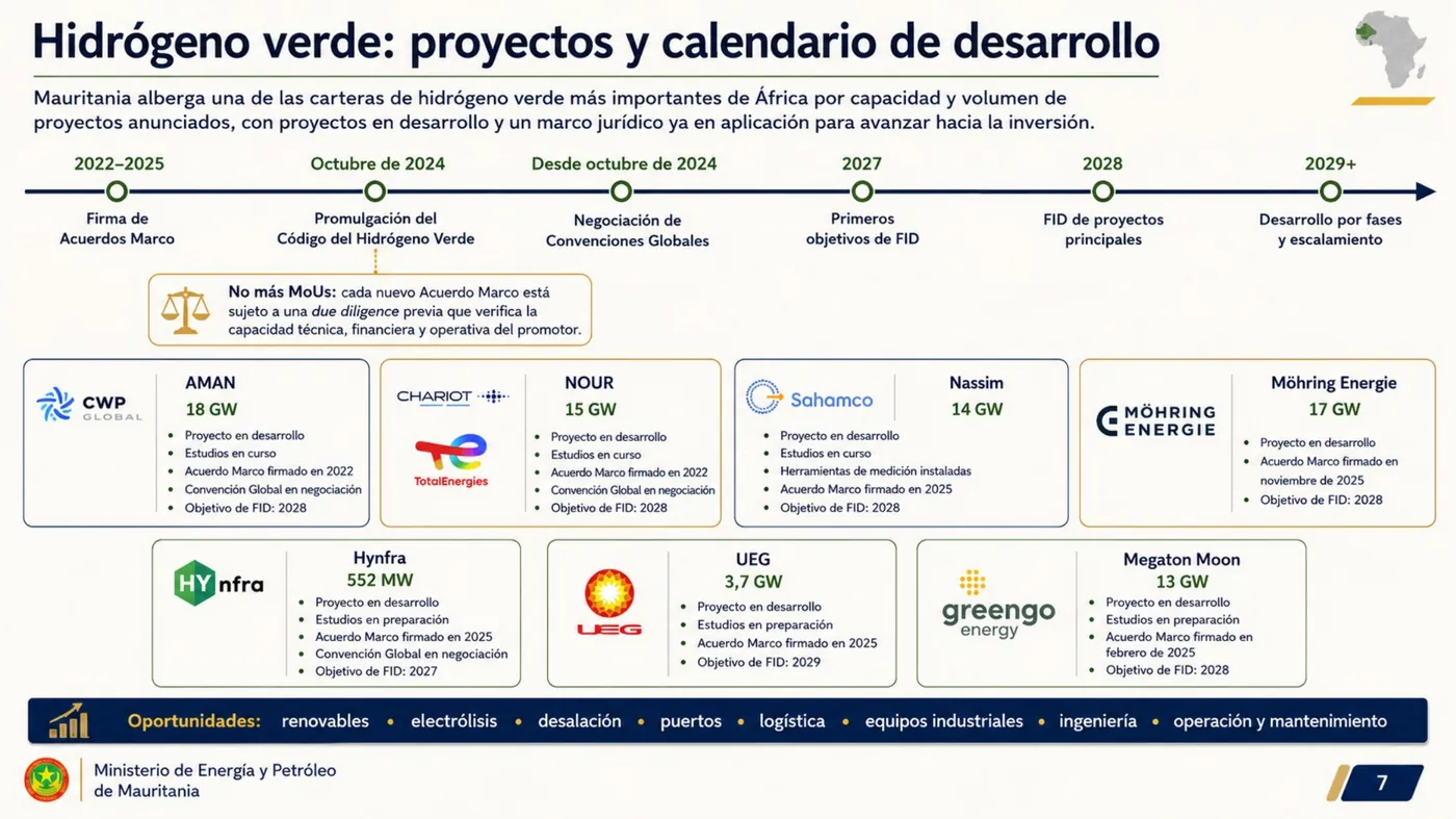 The green hydrogen portfolio and its development calendar, as presented.