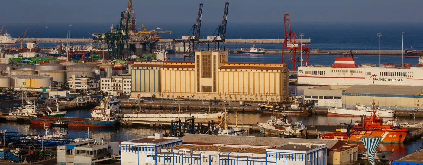 The commercial port at first light — terminals, silos, tugs, the fishing fleet and the ferry berth.