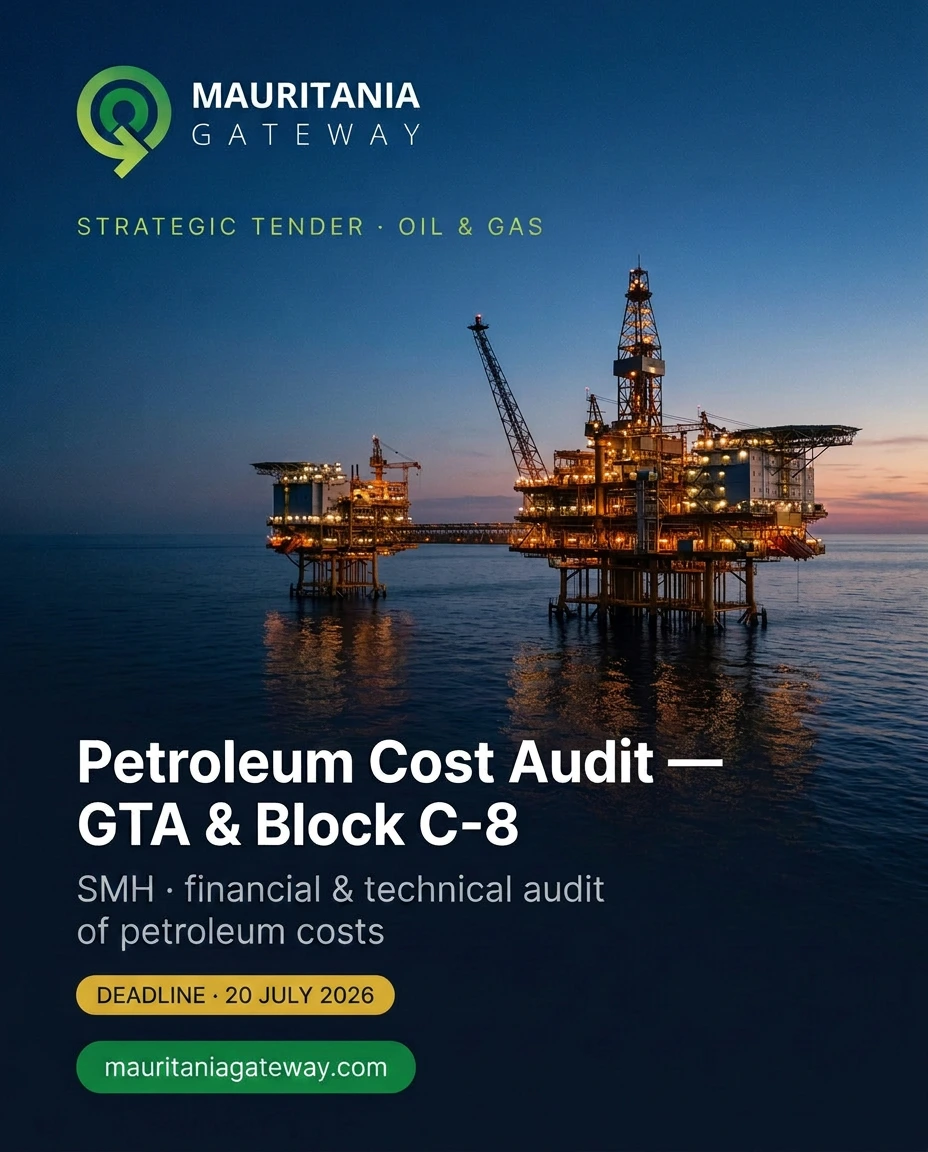Audit of petroleum costs regarding the Grand Tortue Ahmeyim (GTA) project and Block C-8
